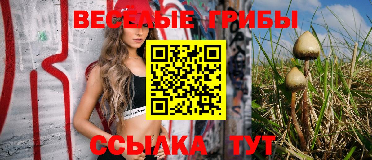 Нерюнгри  Галлюциногенные грибы мухоморы  Галлюциногенные грибы Psilocybine cubensis  Вход с VPN 