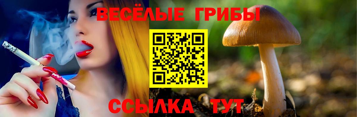 Псилоцибиновые грибы MAGIC MUSHROOMS Нерюнгри